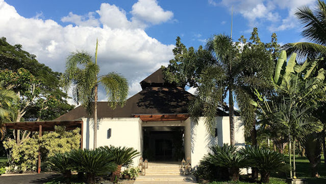 Casa Palmera