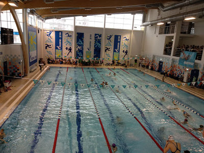 Shkola Vysshego Sportivnogo Masterstva