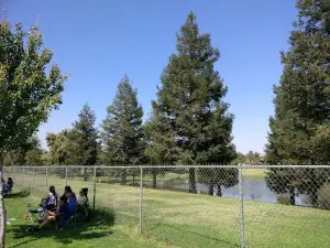 Lions Park