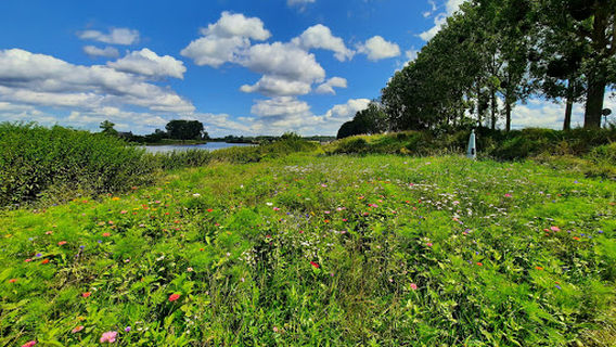 Kajak Maasland en Rafting