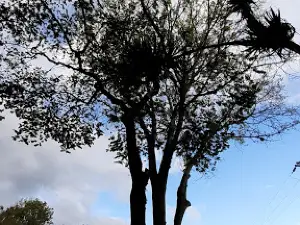 Américas Park