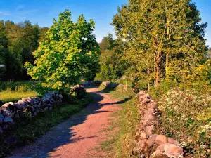 Prangli Travel- Day Trips Tallinn