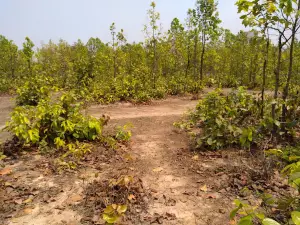 Ramnabagan Wildlife Sanctuary