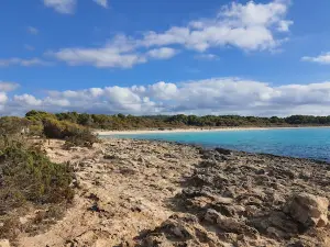 Playas de Son Saura