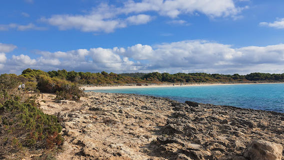 Playas de Son Saura