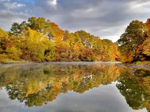 Curwensville Lake