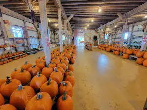 Yahoo Farm