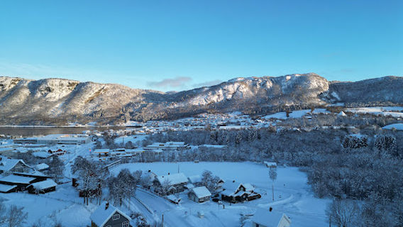 Hemnehallen