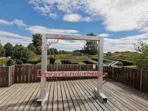 Irrgarten der Sinne