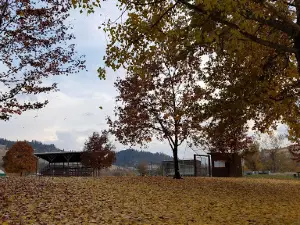쿠스키아 시티 공원