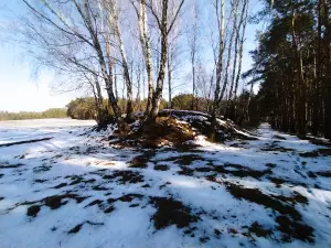 Kurhany Książęce