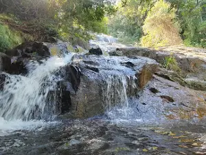 Ngoye Forest Reserve