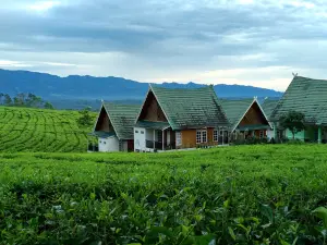 Villa ExMTQ Gunung Gare PagarAlam