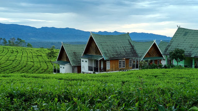 Villa ExMTQ Gunung Gare PagarAlam