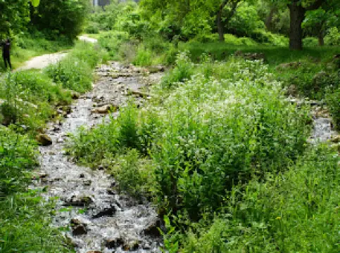 La Toba - Anchuricas