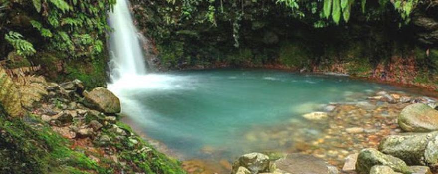 Gunung Bunder-GSE Taman Nasional Gunung Halimun Salak