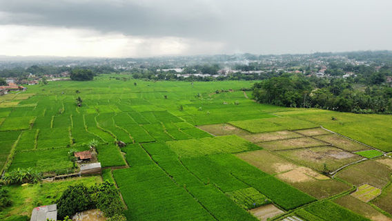 BMX Circuit of Galuh Ciamis