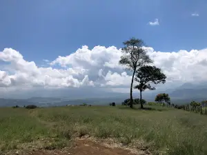 Panorama Bukit Tirai Embun Danau Tinggi