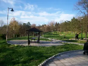 Brđanka