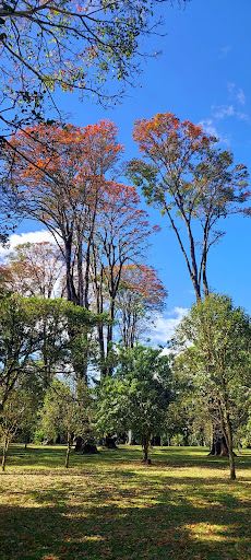 Parque del Este