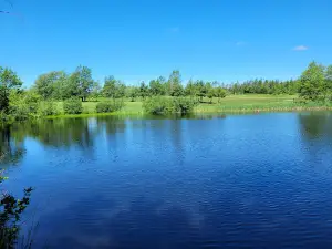 Airlane Golf Club