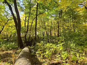 Taylorsville MetroPark
