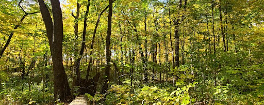 Taylorsville MetroPark
