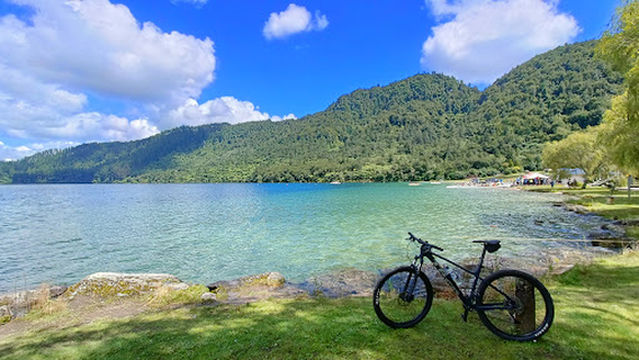Whakarewarewa Mountain Bike Park