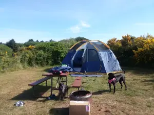 Screamin' Eagle Campground