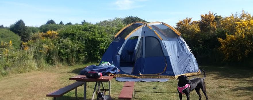 Screamin' Eagle Campground