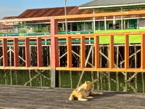 Panggung Bontang Kuala