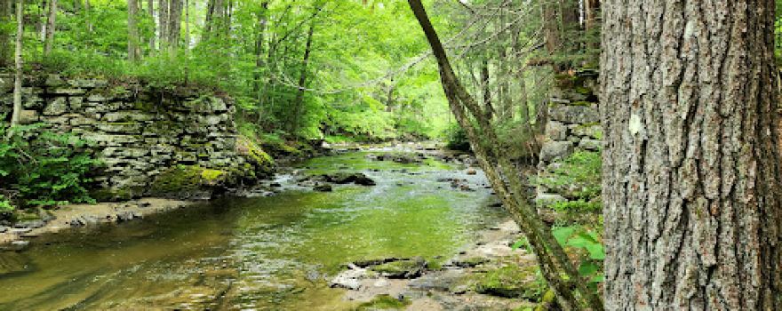 Goodnow Preserve