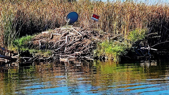 Northern Water Excursions LLC