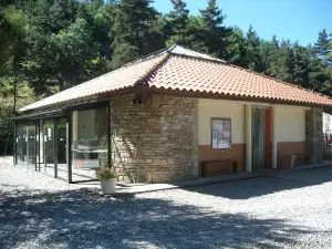 Camping de l'Allier