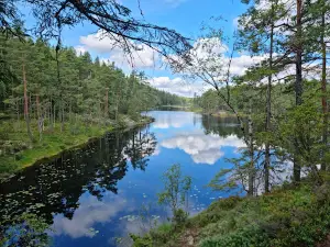 Dalaborg
