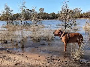 Apex RiverBeach Holiday Park