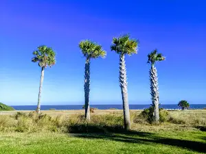 Jekyll Island State Park