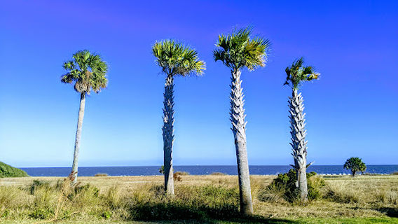 Jekyll Island State Park