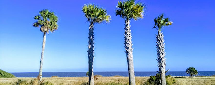 Jekyll Island State Park
