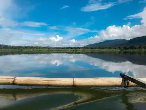 Wakolo