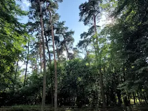 Rezerwat Archelogiczno Przyrodniczy w Sarnowie