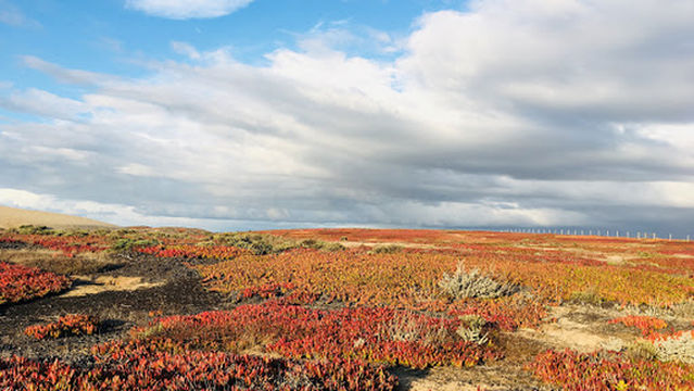 Marina Dunes RV Park