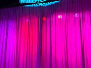 와일드 와일드 쇼