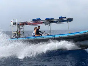 Sea Quest Hawaii