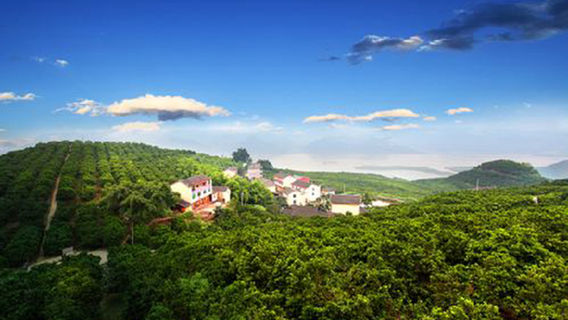 Three Gorges Orange Sea