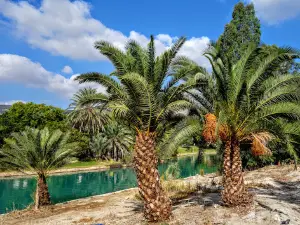 Park Hama'ayanot