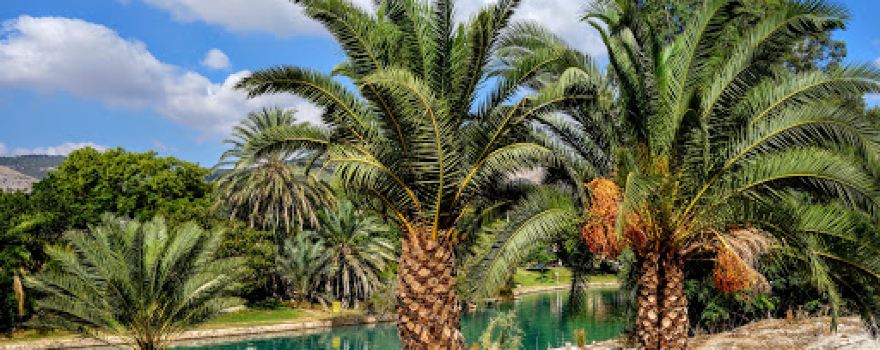 Park Hama'ayanot