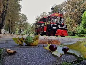 Park Municipal Roman