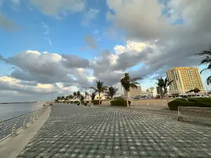 Ajman Marina
