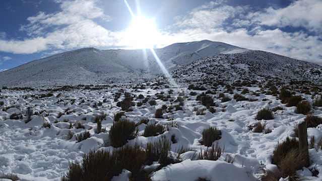 Porters Pass viewpoint